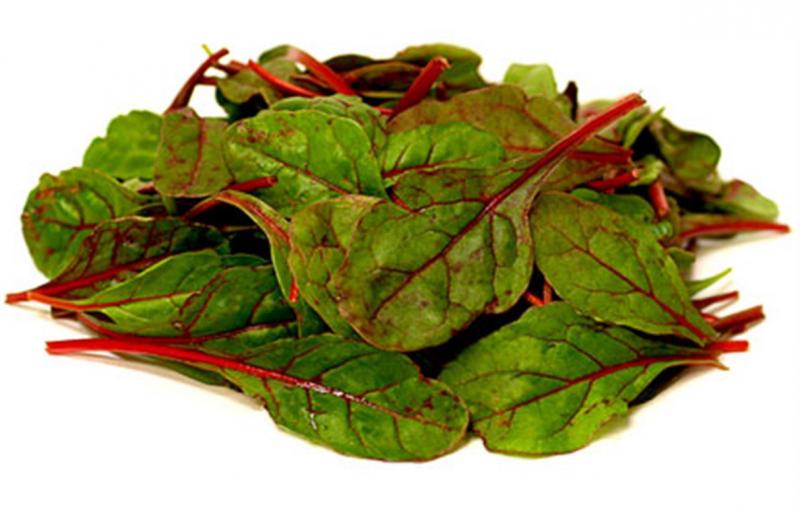 RUBY RED Swiss chard leaf beet 100 seeds